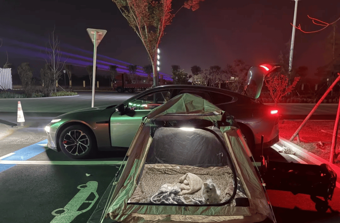 庆期间年轻人旅行掀起“帐篷过夜”热潮pg电子娱乐平台不住酒店住帐篷!国(图3) 庆期间年轻人旅行掀起“帐篷过夜”热潮pg电子娱乐平台不住酒店住帐篷!国(图3)