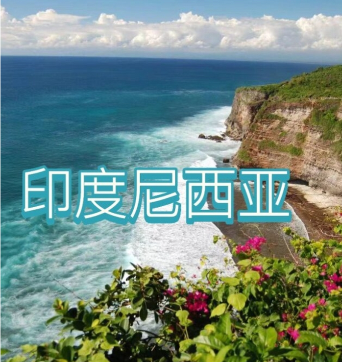 国国际电商(印尼)产业博览会pg模拟器电脑版2025中(图3)