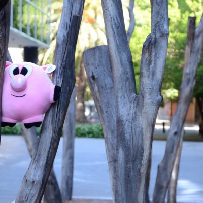 stinkythepig branches 400x400 Take me home with you