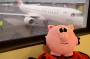 Stinky the pig travels